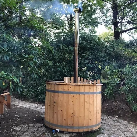 Bosco 79 Arcisate