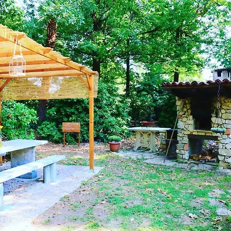 Bosco 79 * Arcisate