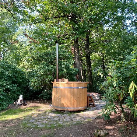 Bosco 79 * Arcisate
