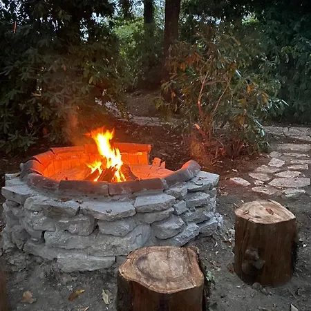 Bosco 79 Arcisate